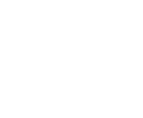 logo white